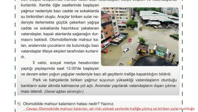 5. Sınıf Meb Yayınları Afet Bilinci Ders Kitabı Sayfa 124 Cevapları