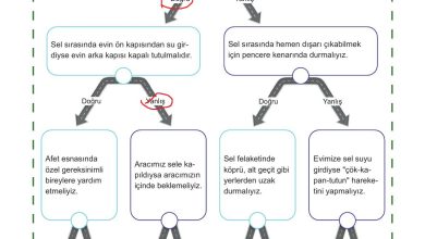 5. Sınıf Meb Yayınları Afet Bilinci Ders Kitabı Sayfa 125 Cevapları