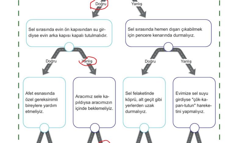 5. Sınıf Meb Yayınları Afet Bilinci Ders Kitabı Sayfa 125 Cevapları