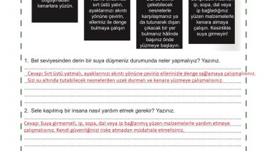 5. Sınıf Meb Yayınları Afet Bilinci Ders Kitabı Sayfa 126 Cevapları