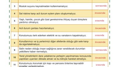 5. Sınıf Meb Yayınları Afet Bilinci Ders Kitabı Sayfa 132 Cevapları