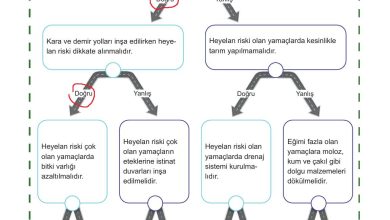 5. Sınıf Meb Yayınları Afet Bilinci Ders Kitabı Sayfa 140 Cevapları