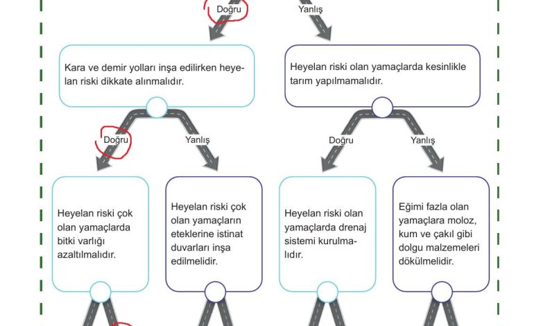 5. Sınıf Meb Yayınları Afet Bilinci Ders Kitabı Sayfa 140 Cevapları