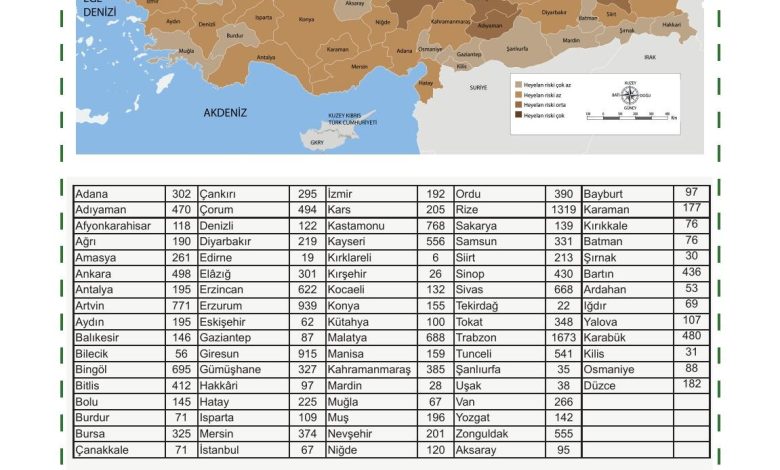 5. Sınıf Meb Yayınları Afet Bilinci Ders Kitabı Sayfa 143 Cevapları