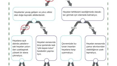 5. Sınıf Meb Yayınları Afet Bilinci Ders Kitabı Sayfa 151 Cevapları