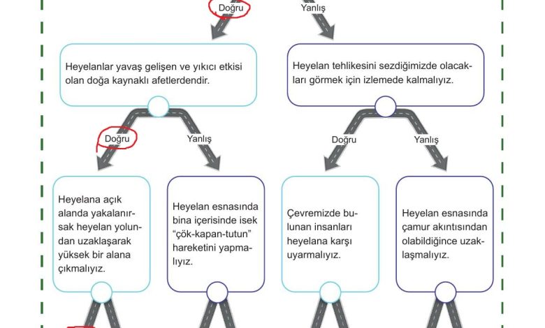 5. Sınıf Meb Yayınları Afet Bilinci Ders Kitabı Sayfa 151 Cevapları