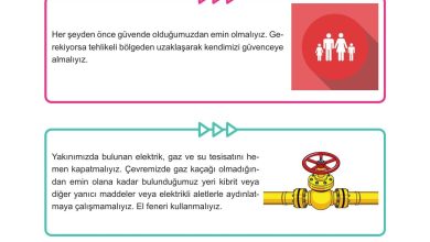 5. Sınıf Meb Yayınları Afet Bilinci Ders Kitabı Sayfa 153 Cevapları