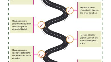 5. Sınıf Meb Yayınları Afet Bilinci Ders Kitabı Sayfa 156 Cevapları