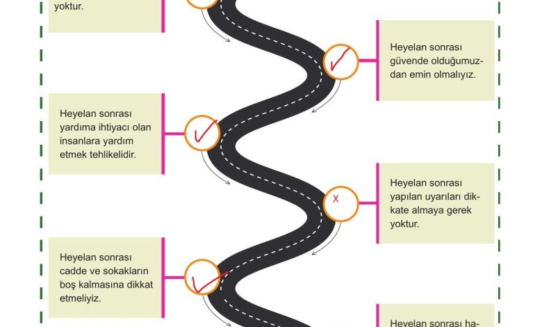 5. Sınıf Meb Yayınları Afet Bilinci Ders Kitabı Sayfa 156 Cevapları