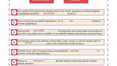 5. Sınıf Meb Yayınları Afet Bilinci Ders Kitabı Sayfa 157 Cevapları