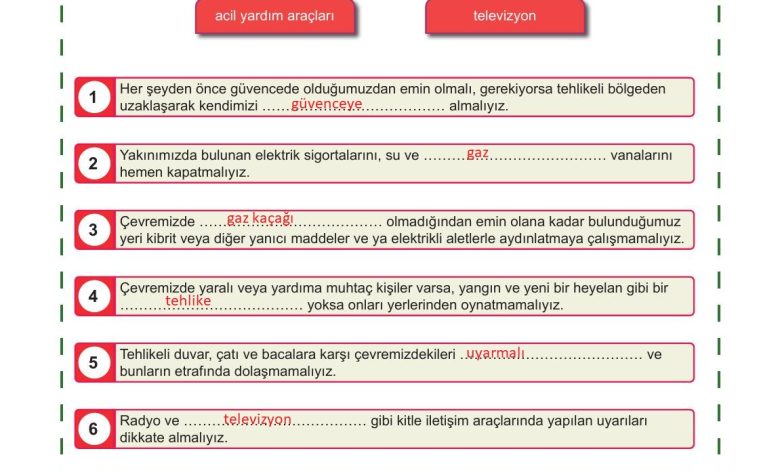 5. Sınıf Meb Yayınları Afet Bilinci Ders Kitabı Sayfa 157 Cevapları