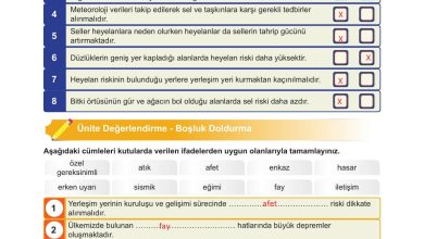 5. Sınıf Meb Yayınları Afet Bilinci Ders Kitabı Sayfa 158 Cevapları