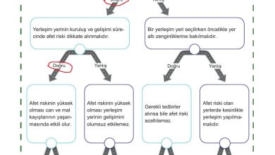 5. Sınıf Meb Yayınları Afet Bilinci Ders Kitabı Sayfa 62 Cevapları