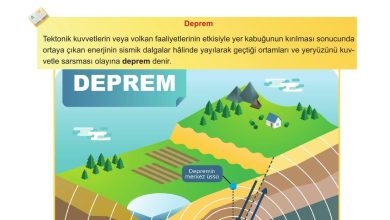 5. Sınıf Meb Yayınları Afet Bilinci Ders Kitabı Sayfa 64 Cevapları