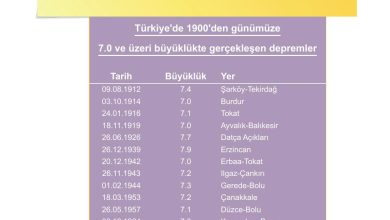 5. Sınıf Meb Yayınları Afet Bilinci Ders Kitabı Sayfa 65 Cevapları