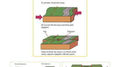 5. Sınıf Meb Yayınları Afet Bilinci Ders Kitabı Sayfa 66 Cevapları