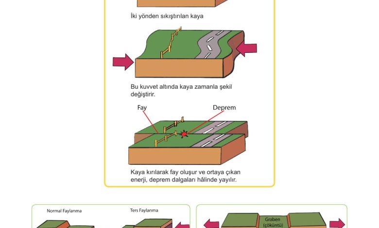 5. Sınıf Meb Yayınları Afet Bilinci Ders Kitabı Sayfa 66 Cevapları