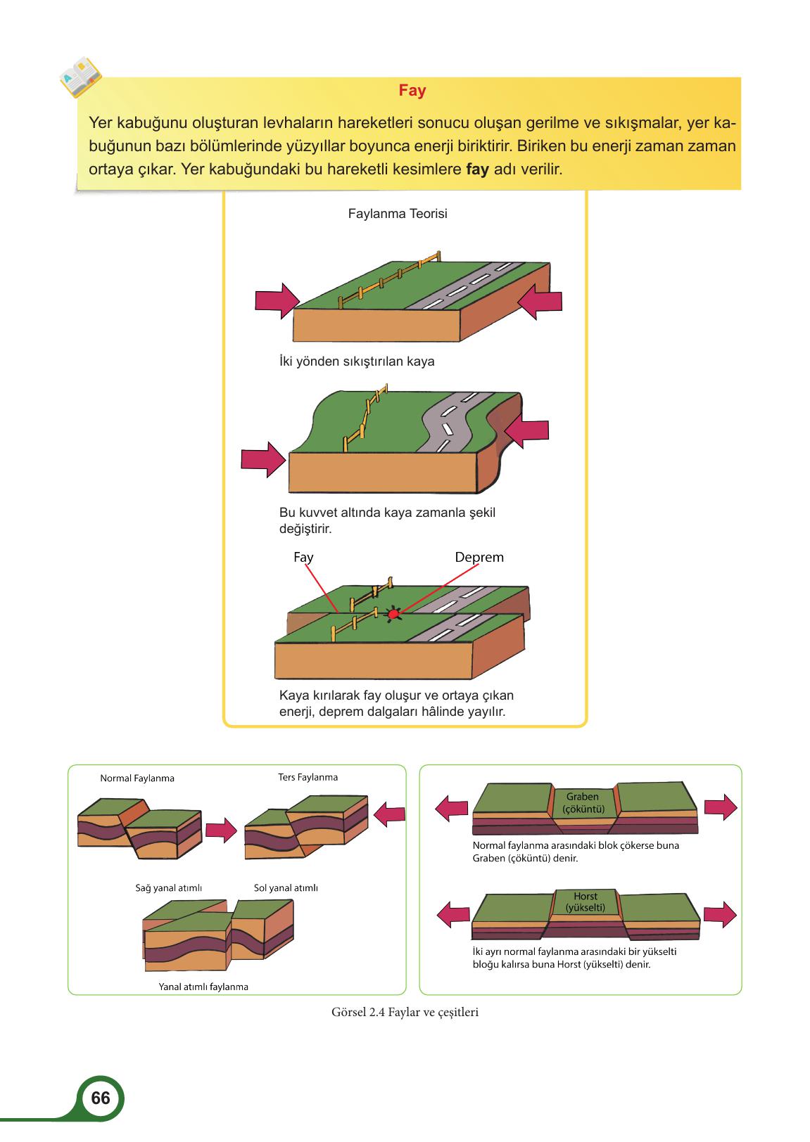 5. Sınıf Meb Yayınları Afet Bilinci Ders Kitabı Sayfa 66 Cevapları