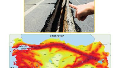 5. Sınıf Meb Yayınları Afet Bilinci Ders Kitabı Sayfa 67 Cevapları