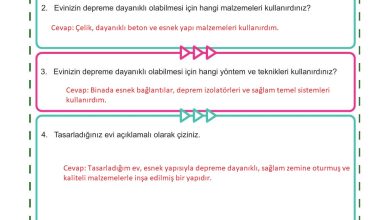 5. Sınıf Meb Yayınları Afet Bilinci Ders Kitabı Sayfa 71 Cevapları