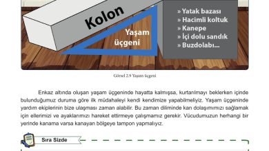 5. Sınıf Meb Yayınları Afet Bilinci Ders Kitabı Sayfa 90 Cevapları