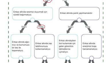 5. Sınıf Meb Yayınları Afet Bilinci Ders Kitabı Sayfa 94 Cevapları