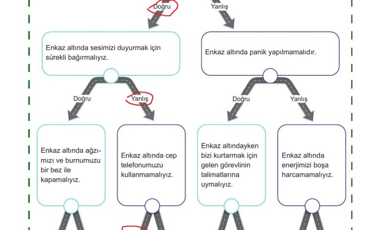 5. Sınıf Meb Yayınları Afet Bilinci Ders Kitabı Sayfa 94 Cevapları