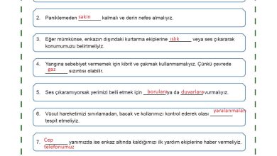 5. Sınıf Meb Yayınları Afet Bilinci Ders Kitabı Sayfa 95 Cevapları