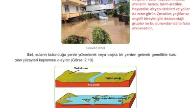 5. Sınıf Meb Yayınları Afet Bilinci Ders Kitabı Sayfa 96 Cevapları