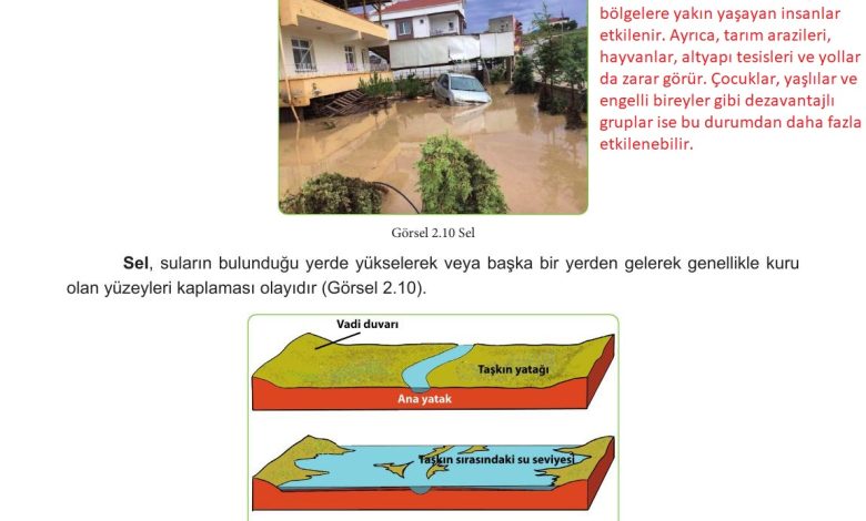 5. Sınıf Meb Yayınları Afet Bilinci Ders Kitabı Sayfa 96 Cevapları