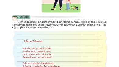 6. Sınıf Meb Yayınları Türkçe Ders Kitabı Sayfa 160 Cevapları