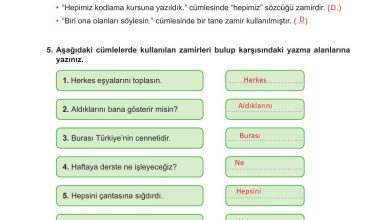 6. Sınıf Meb Yayınları Türkçe Ders Kitabı Sayfa 163 Cevapları