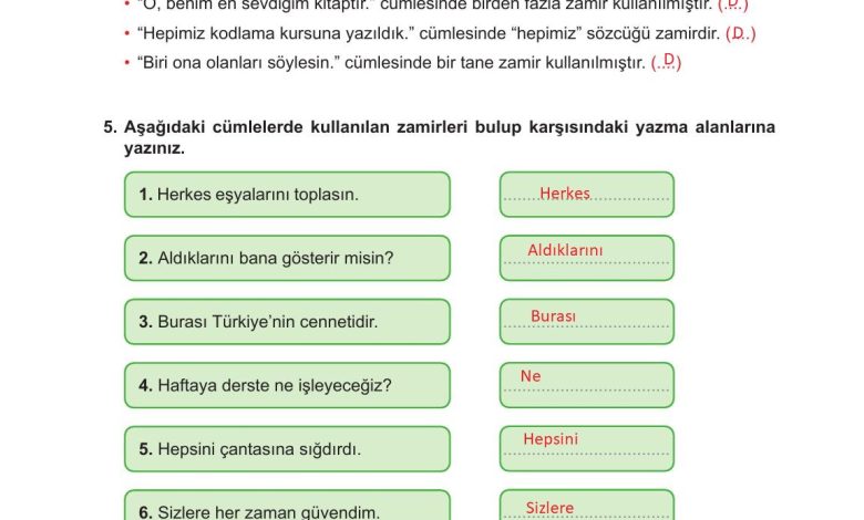 6. Sınıf Meb Yayınları Türkçe Ders Kitabı Sayfa 163 Cevapları