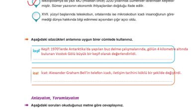 6. Sınıf Yıldırım Yayınları Türkçe Ders Kitabı Sayfa 232 Cevapları