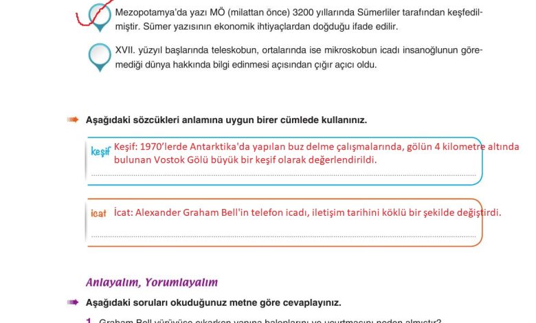 6. Sınıf Yıldırım Yayınları Türkçe Ders Kitabı Sayfa 232 Cevapları