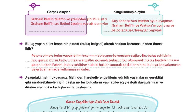 6. Sınıf Yıldırım Yayınları Türkçe Ders Kitabı Sayfa 233 Cevapları