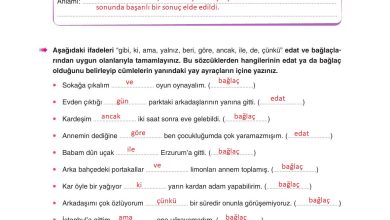 6. Sınıf Yıldırım Yayınları Türkçe Ders Kitabı Sayfa 235 Cevapları