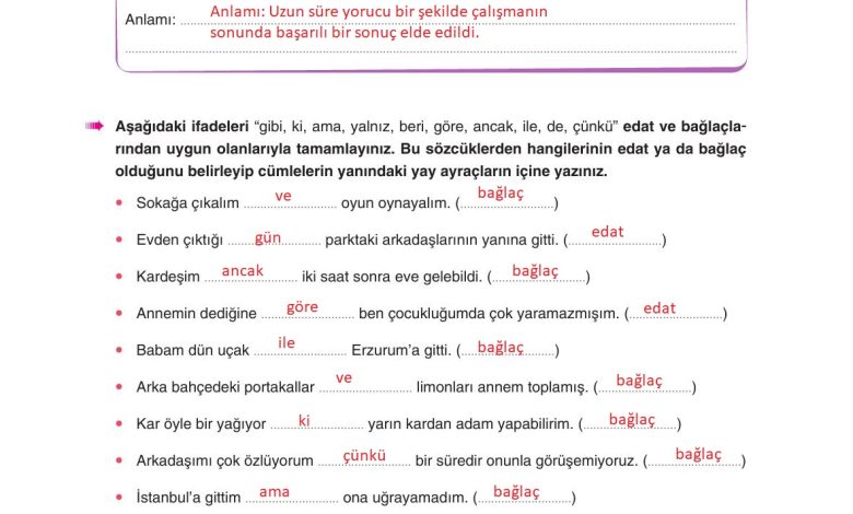 6. Sınıf Yıldırım Yayınları Türkçe Ders Kitabı Sayfa 235 Cevapları