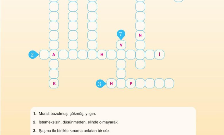 6. Sınıf Yıldırım Yayınları Türkçe Ders Kitabı Sayfa 239 Cevapları