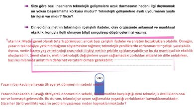 6. Sınıf Yıldırım Yayınları Türkçe Ders Kitabı Sayfa 240 Cevapları