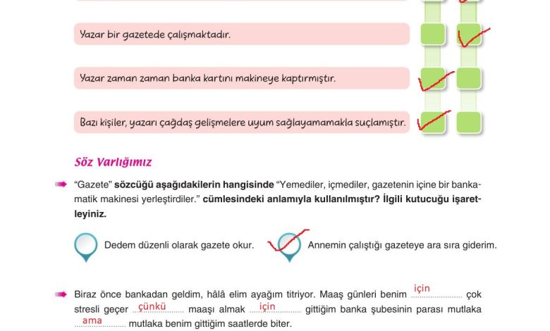 6. Sınıf Yıldırım Yayınları Türkçe Ders Kitabı Sayfa 241 Cevapları