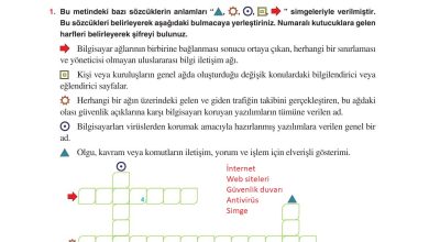 6. Sınıf Yıldırım Yayınları Türkçe Ders Kitabı Sayfa 247 Cevapları