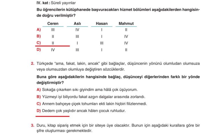 6. Sınıf Yıldırım Yayınları Türkçe Ders Kitabı Sayfa 248 Cevapları