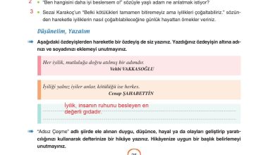 6. Sınıf Yıldırım Yayınları Türkçe Ders Kitabı Sayfa 25 Cevapları