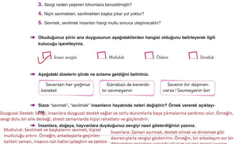 6. Sınıf Yıldırım Yayınları Türkçe Ders Kitabı Sayfa 252 Cevapları