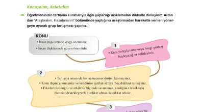 6. Sınıf Yıldırım Yayınları Türkçe Ders Kitabı Sayfa 253 Cevapları