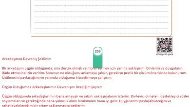 6. Sınıf Yıldırım Yayınları Türkçe Ders Kitabı Sayfa 256 Cevapları