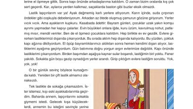 6. Sınıf Yıldırım Yayınları Türkçe Ders Kitabı Sayfa 258 Cevapları