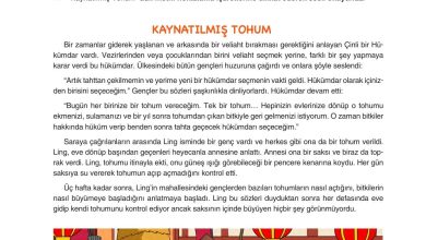 6. Sınıf Yıldırım Yayınları Türkçe Ders Kitabı Sayfa 26 Cevapları