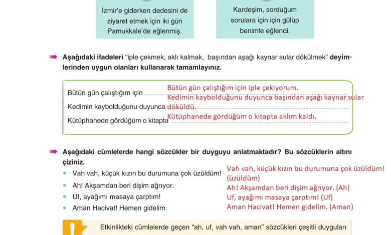 6. Sınıf Yıldırım Yayınları Türkçe Ders Kitabı Sayfa 262 Cevapları